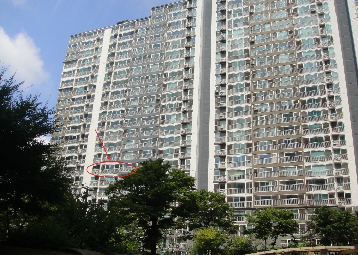 물건 사진 5