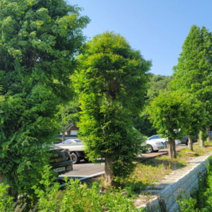 물건 사진 13