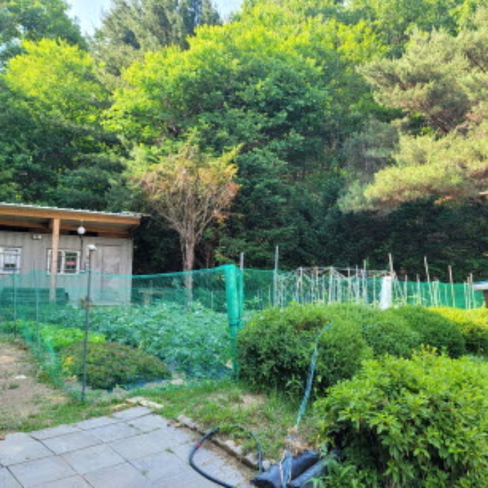 물건 사진 43