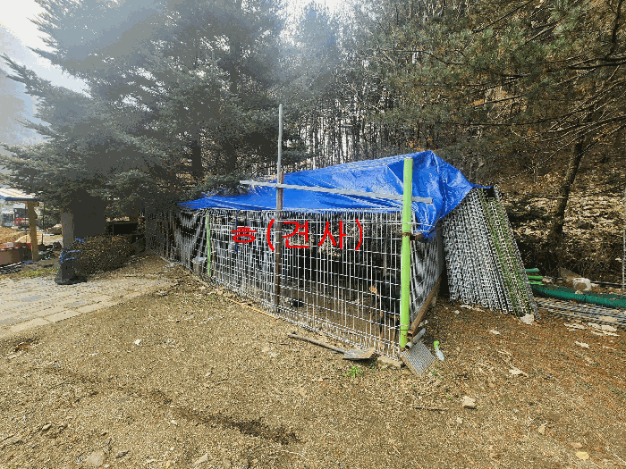 물건 사진 71
