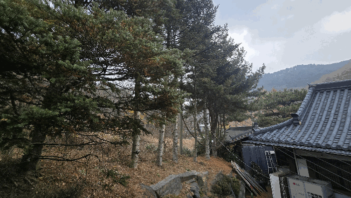 물건 사진 76