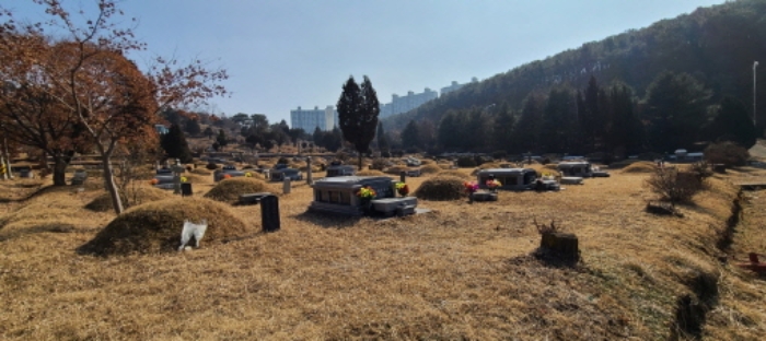 물건 사진 4