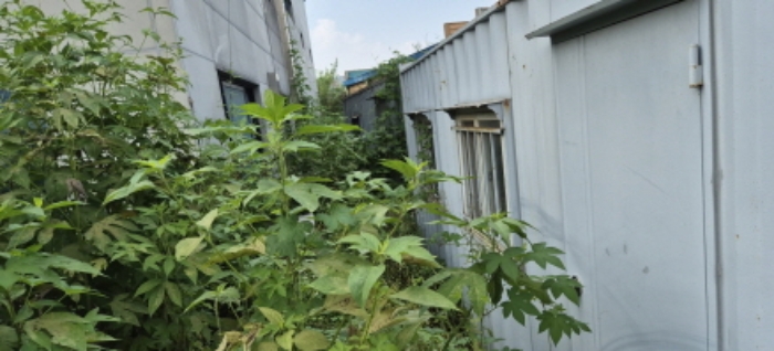 물건 사진 2
