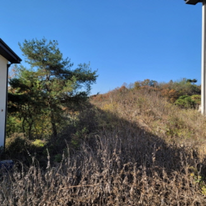 물건 사진 8