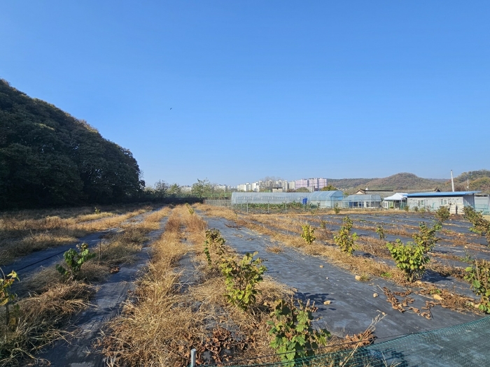 물건 사진 26