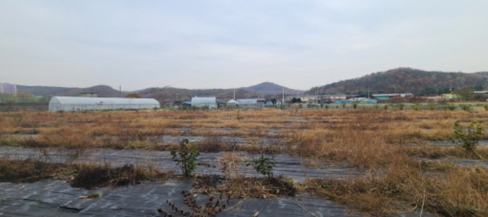 물건 사진 4