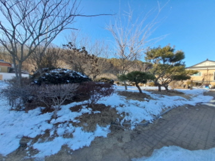 물건 사진 3