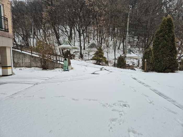 물건 사진 72