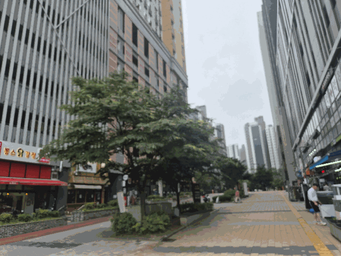 물건 사진 16