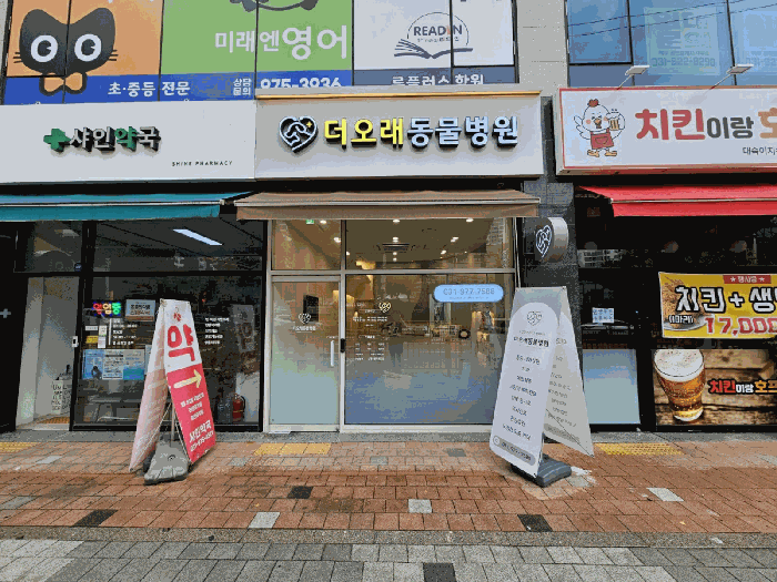 물건 사진 8