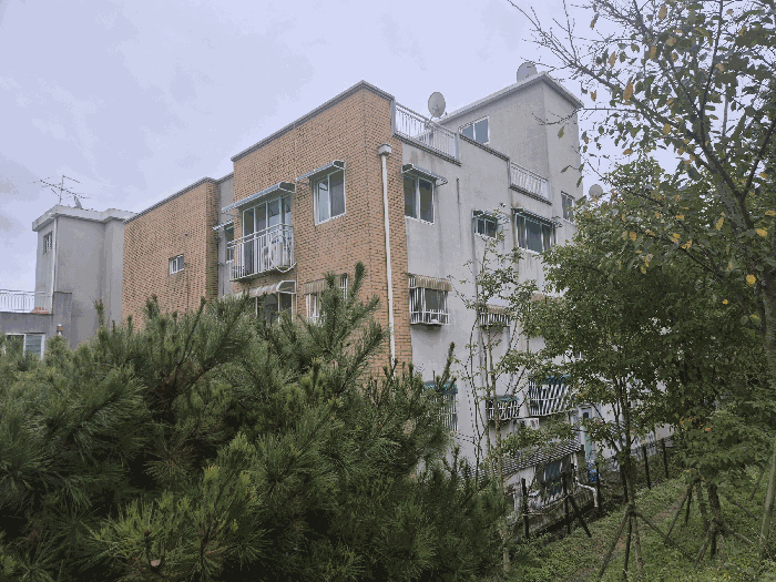 물건 사진 11
