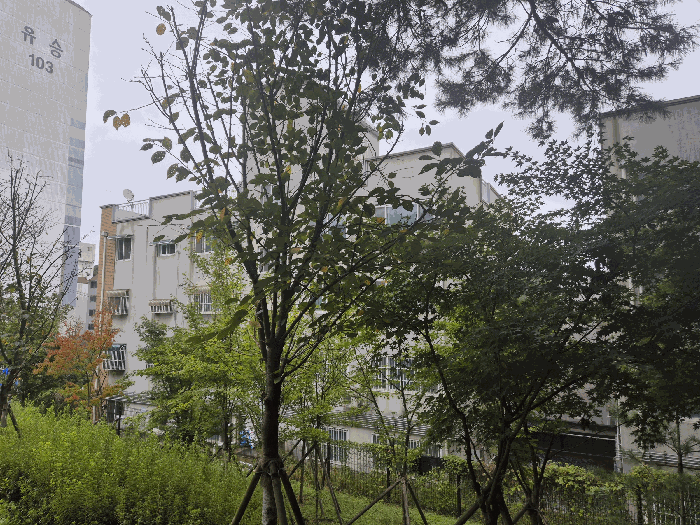 물건 사진 15