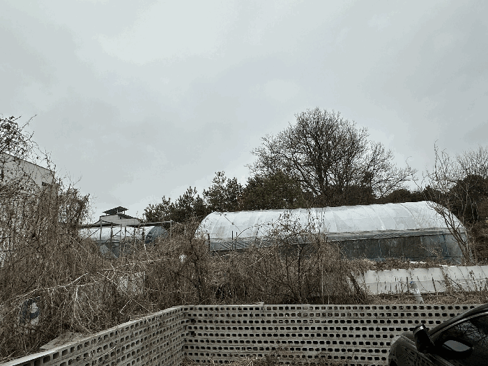 물건 사진 64