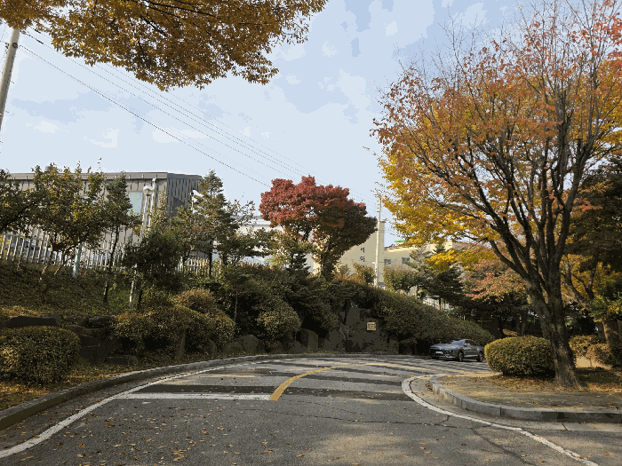 물건 사진 25