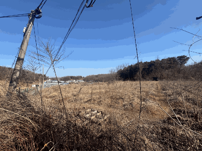 물건 사진 19
