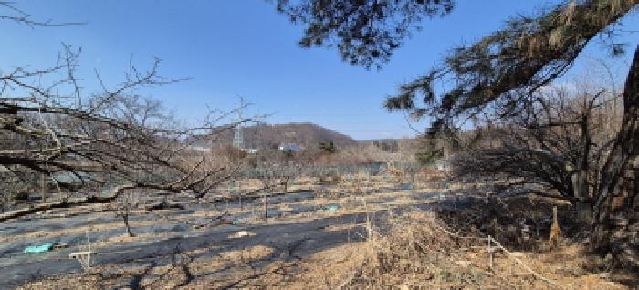 물건 사진 28