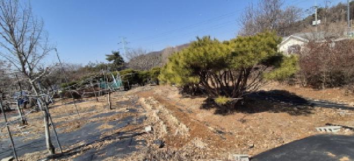 물건 사진 29