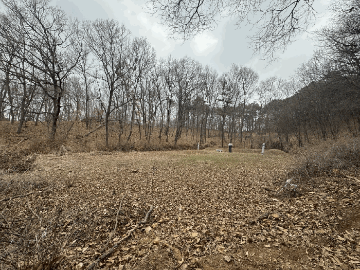 물건 사진 13