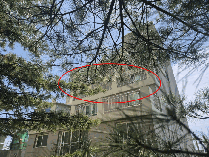 물건 사진 19