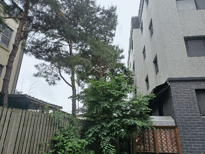 물건 사진 10