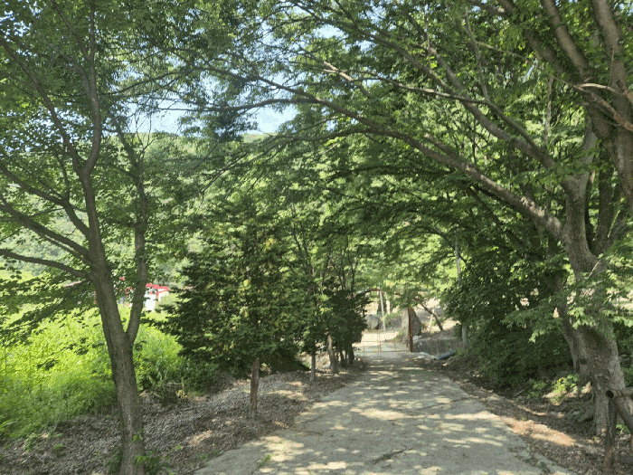 물건 사진 39