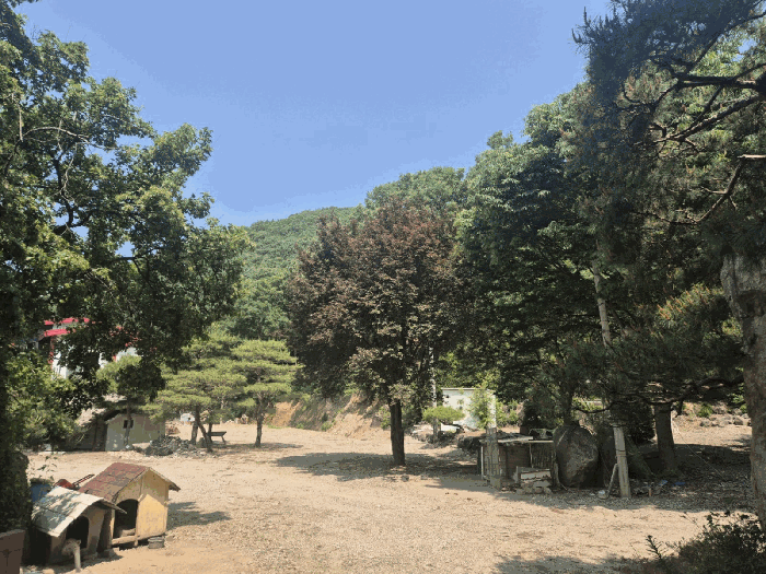 물건 사진 42