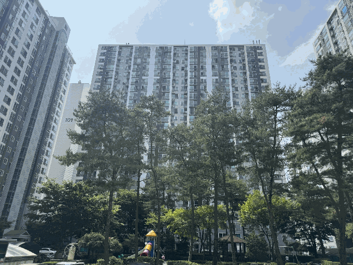 물건 사진 12