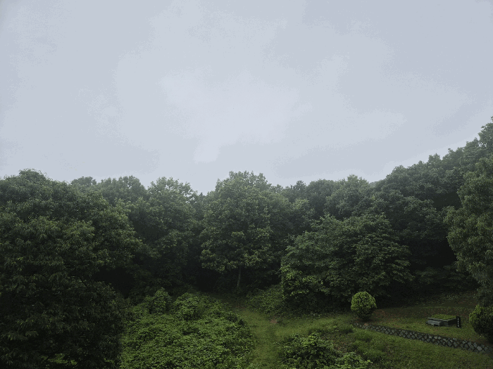 물건 사진 13