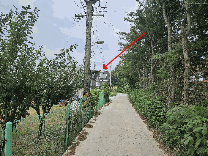물건 사진 16