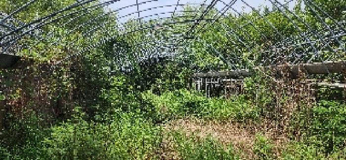 물건 사진 19