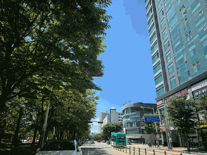 물건 사진 11