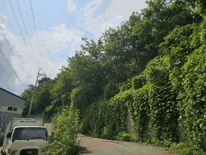 물건 사진 51