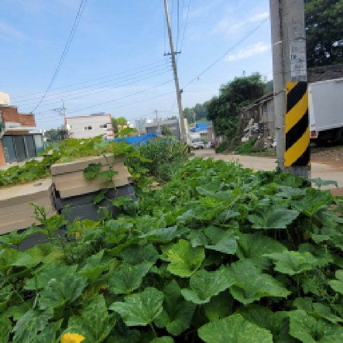 물건 사진 15