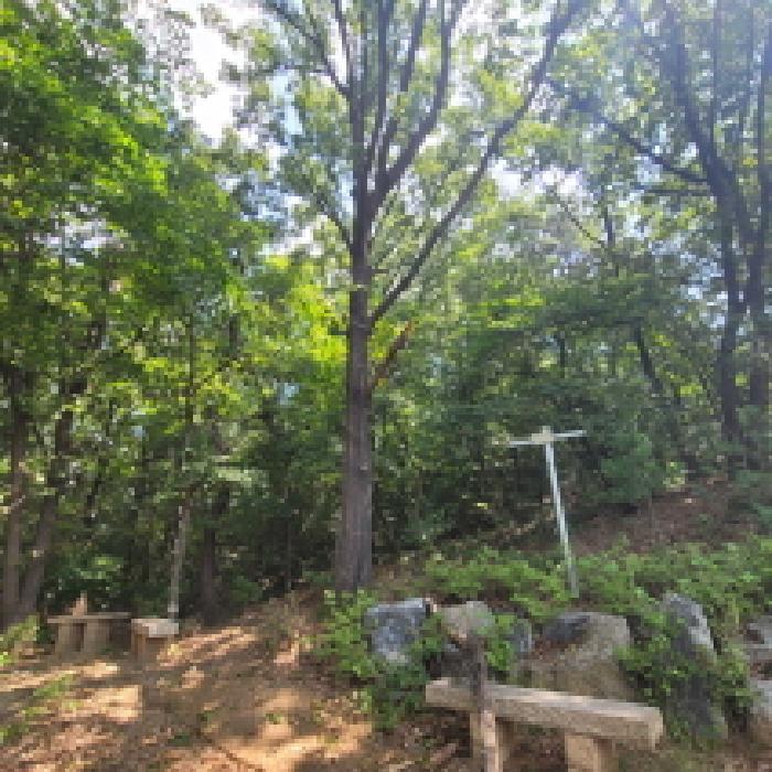 물건 사진 21