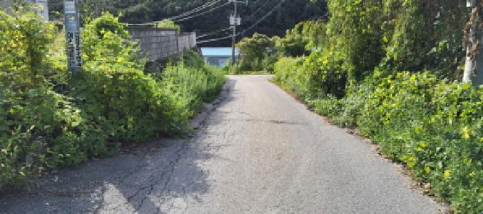 물건 사진 5