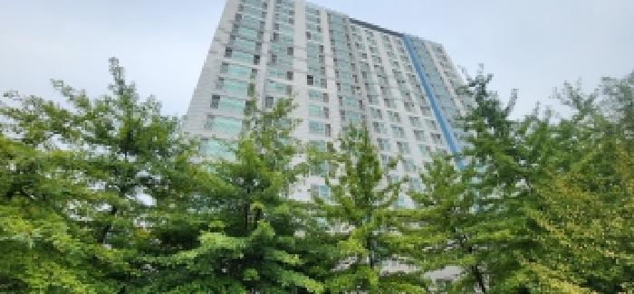 물건 사진 3