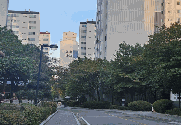 물건 사진 12
