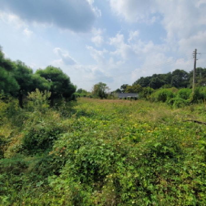 물건 사진 11
