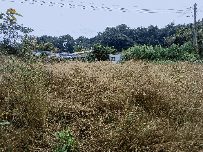 물건 사진 18