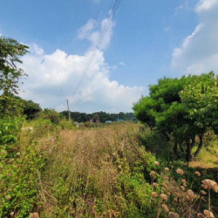 물건 사진 6