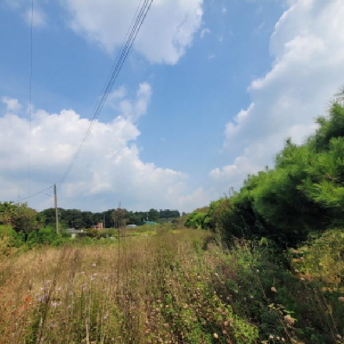 물건 사진 8