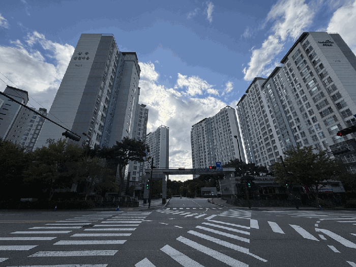 물건 사진 11