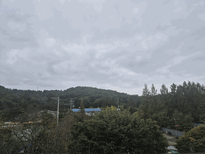 물건 사진 12