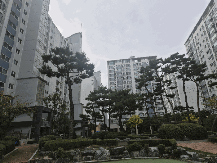 물건 사진 17