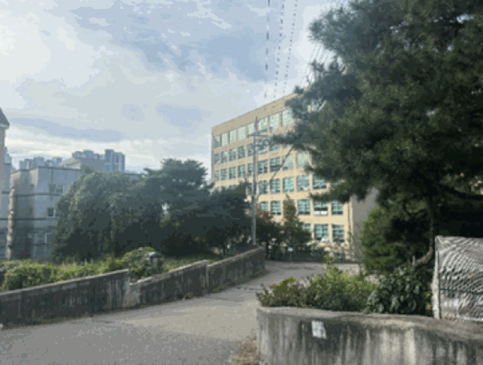물건 사진 12