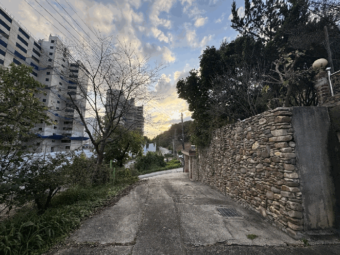 물건 사진 16