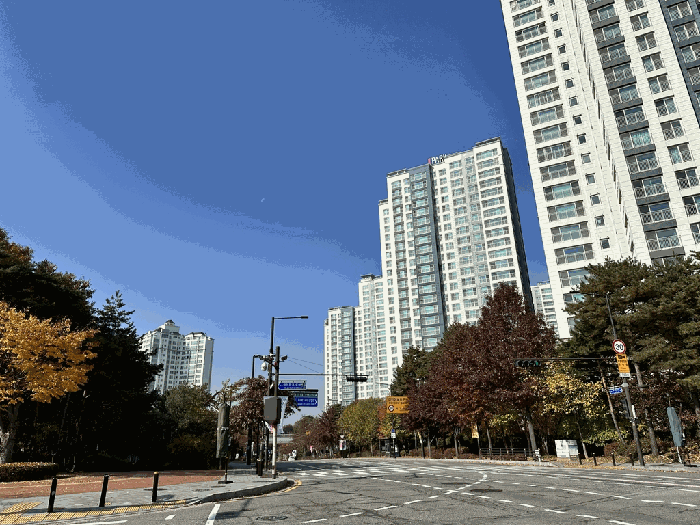 물건 사진 13