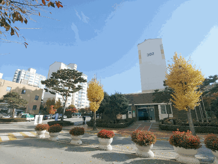 물건 사진 8