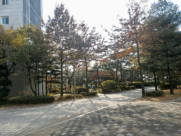 물건 사진 8
