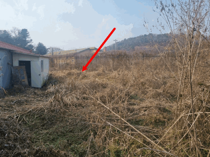 물건 사진 31